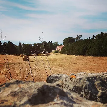 La Pace Dei Sensi *