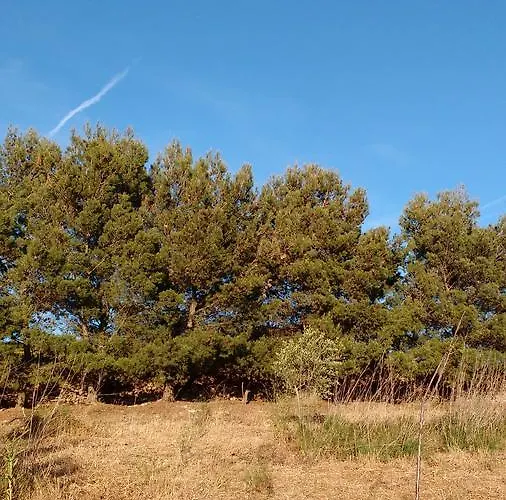 La Pace Dei Sensi Sennori