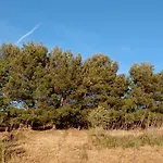 La Pace Dei Sensi Sennori