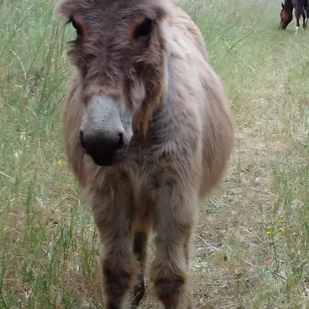 La Pace Dei Sensi Nocleg ze śniadaniem Sennori
