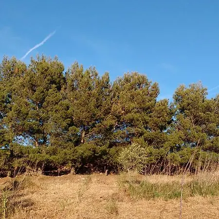 La Pace Dei Sensi Sennori